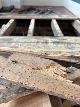 Click Here To Enlarge This Photo Of Woodworm &sol; Timber Treatment&comma; Allestree&comma; Derby