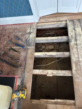 Click Here To Enlarge This Photo Of Woodworm &sol; Timber Treatment&comma; Allestree&comma; Derby