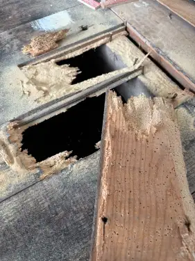 Click Here To Enlarge This Photo Of Woodworm &sol; Timber Treatment&comma; Allestree&comma; Derby