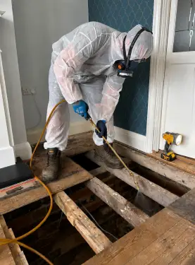 Click Here To Enlarge This Photo Of Woodworm &sol; Timber Treatment&comma; Allestree&comma; Derby