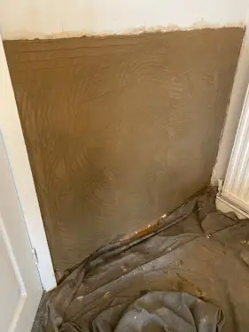 Click Here To Enlarge This Photo Of Rising Damp&comma; Mapperley&comma; Nottingham